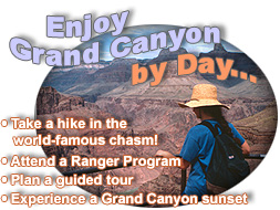 Enjoy Grand Canyon by Day...
